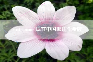 咸宁现在中国哪几个金牌