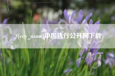 咸宁中国执行公开网下载