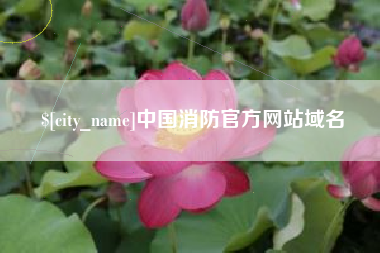 咸宁中国消防官方网站域名