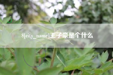 咸宁王子豪是个什么