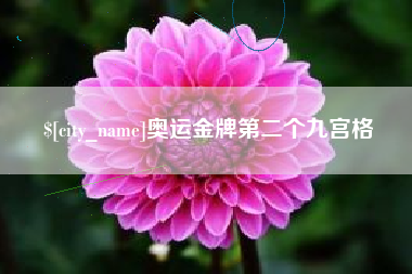 咸宁奥运金牌第二个九宫格