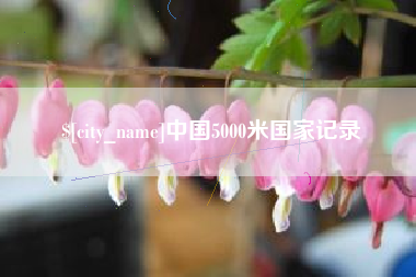咸宁中国5000米国家记录