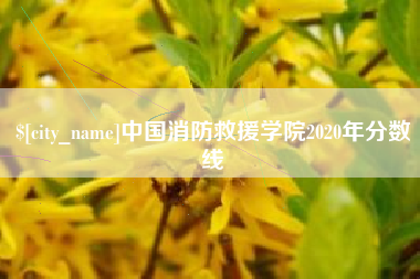 咸宁中国消防救援学院2020年分数线