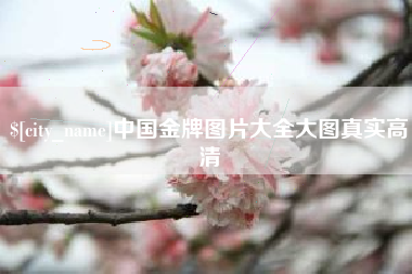 咸宁中国金牌图片大全大图真实高清