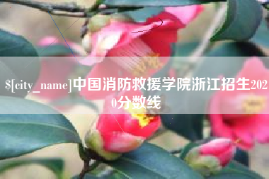 咸宁中国消防救援学院浙江招生2020分数线
