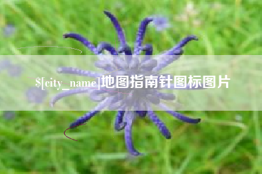 咸宁地图指南针图标图片