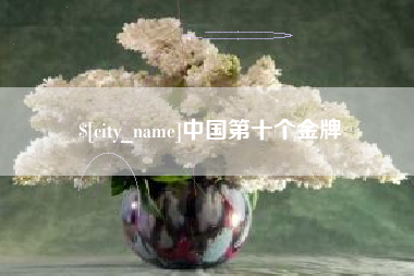 咸宁中国第十个金牌
