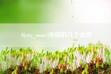 咸宁中国的几个金牌