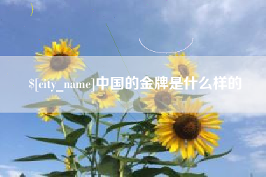 咸宁中国的金牌是什么样的