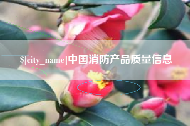 咸宁中国消防产品质量信息