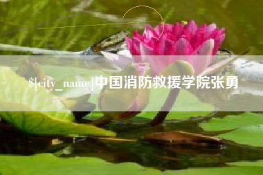 咸宁中国消防救援学院张勇