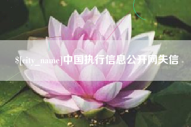 咸宁中国执行信息公开网失信