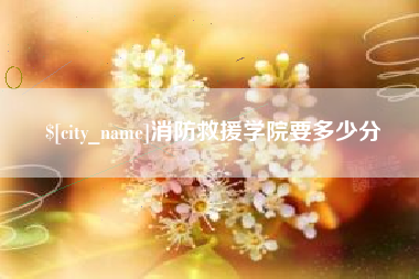 咸宁消防救援学院要多少分