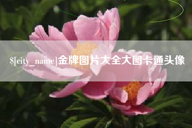 咸宁金牌图片大全大图卡通头像
