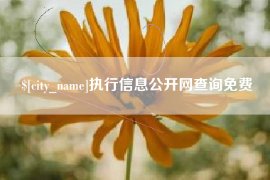 咸宁执行信息公开网查询免费