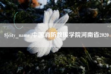 咸宁中国消防救援学院河南省2020